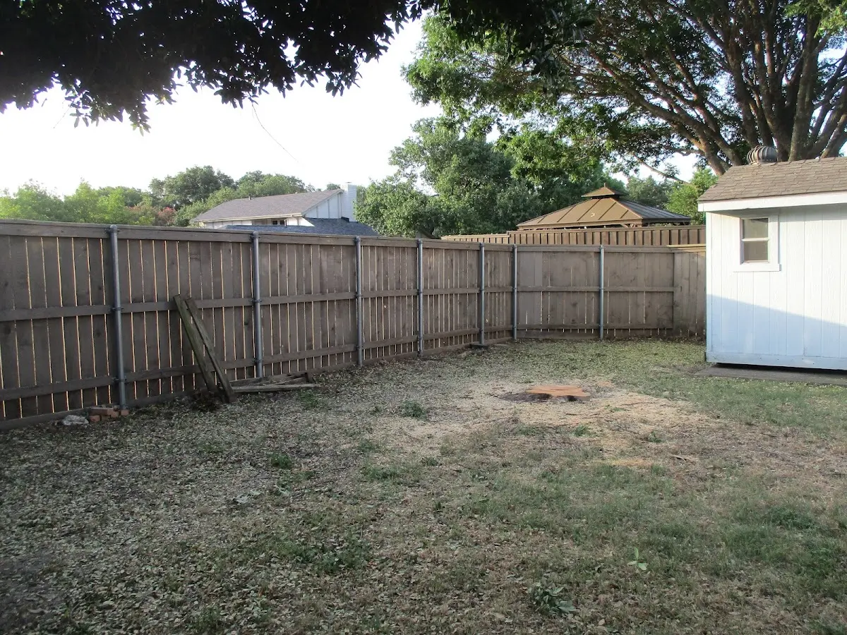 Cleared yard after professional tree removal in Cassandra